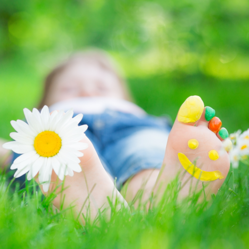 Projeto Felicidade – O&nbsp;livro